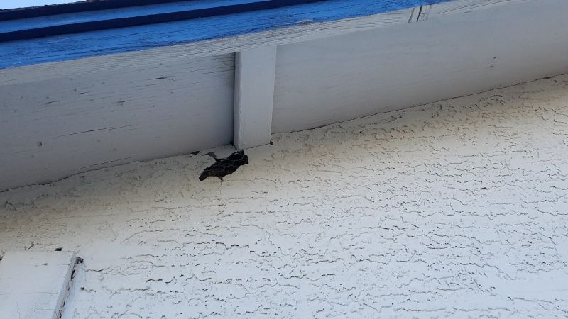 Stucco Patching